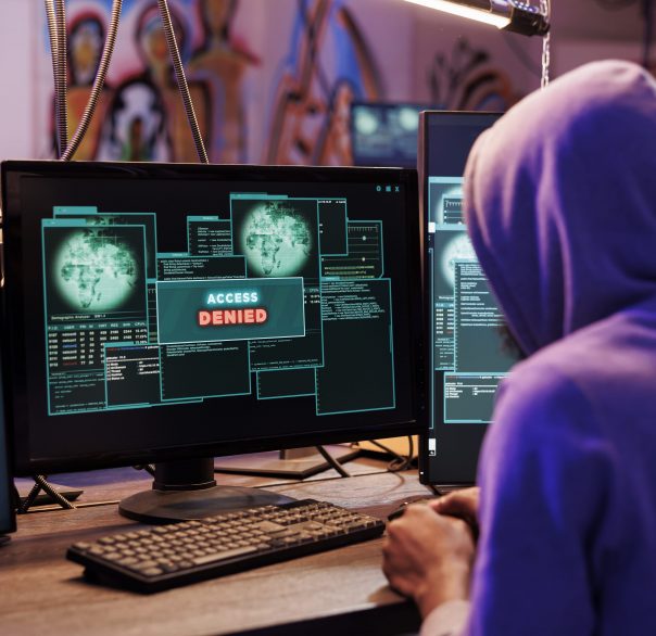 Why Protecting Your Website Matters